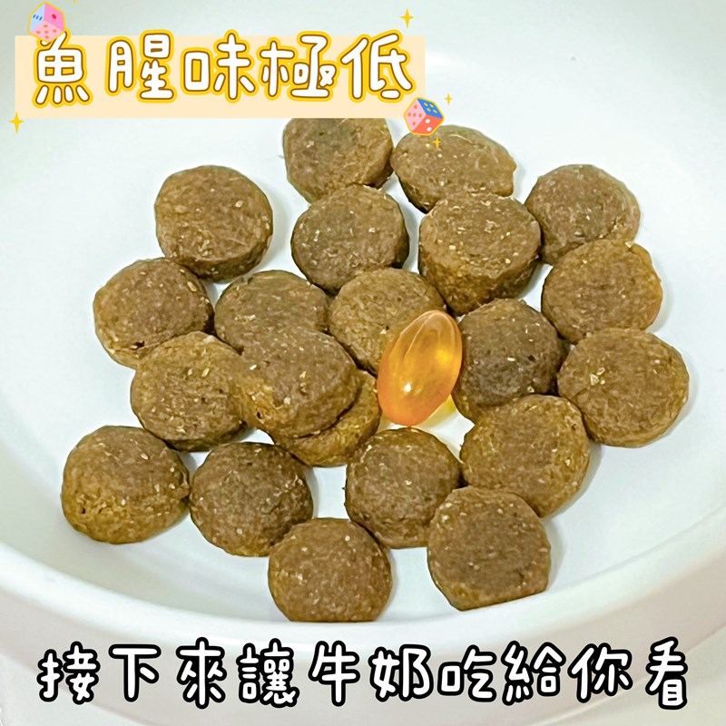 試用